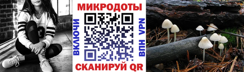 Псилоцибиновые грибы Psilocybine cubensis Купить где Оханск