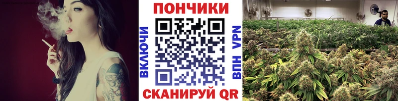 Канабис Amnesia  Купить закладки  Оханск 